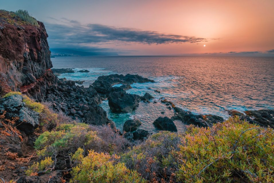 immersioni-subacquee-tenerife