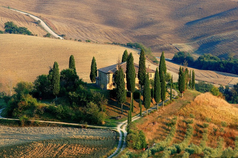 cupressacee toscana